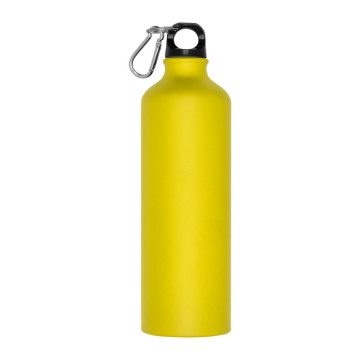 Metal drinking bottle with carabiner Brno