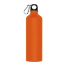 Metal drinking bottle with carabiner Brno