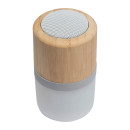 Bluetooth speaker Haarlem